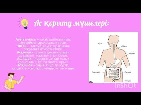 Видео: Жаратылыстану 3 сынып "Ас қайда қорытылады?"
