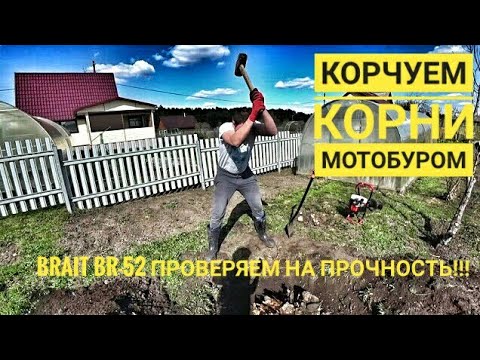 Видео: Удаление корней деревьев мотобуром. Brait BR-52 в деле.  / МыизСибири