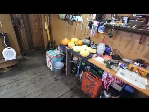 Видео: Утопил недавно Линхая...