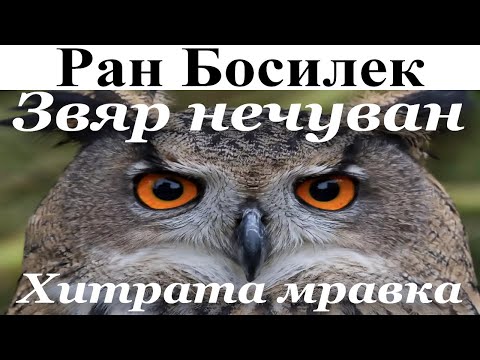 Видео: ПРИКАЗКИ. РАН БОСИЛЕК: 1. Звяр нечуван - 2. Хитрата мравка