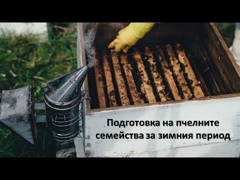 Видео: Успешен млад фермер споделя пчеларски опит