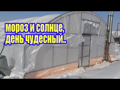 Видео: Натяжка пленки на теплицу в мороз -10