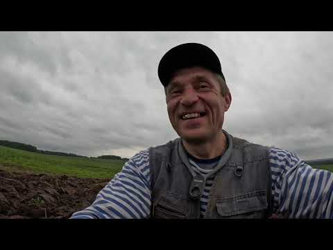 Видео: серебро на распашке