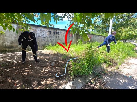 Видео: ОПАСНОСТЬ ПОДСКАЗЫВАЕТ мою команду - Все УДИВЛЕНЫ трансформацией ТРАВЯНОЙ ТРОТУАР ПОЛНЫЙ УГРОЗ