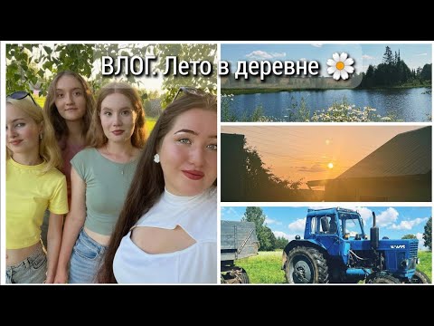 Видео: ВЛОГ. Лето в деревне Удмуртии 🌼