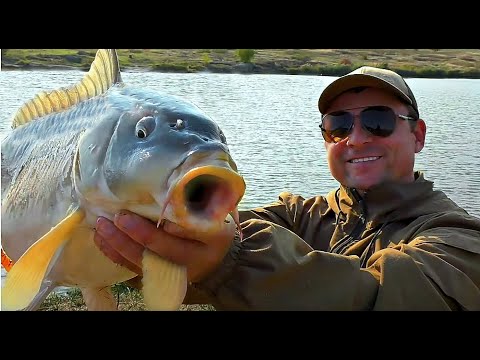 Видео: Трофейная рыбалка поздней осенью на реке