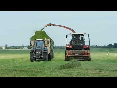 Видео: Заготовка сенажа кормоуборочным комбайном ПАЛЕССЕ FS80-2 (ПАЛЕССЕ КВК-800-16) в Беларуси.