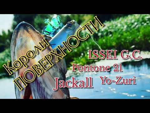 Видео: Короли поверхности | лучшие попперы | топ поверхностных приманок