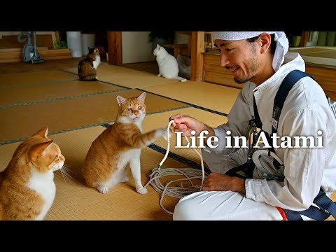 Видео: #130 Черепаха и заяц | Беды и радости старого дома | Жизнь с кошками