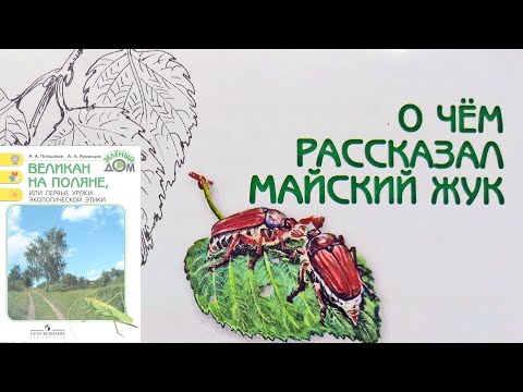 Видео: О чем рассказал майский жук. Великан на поляне