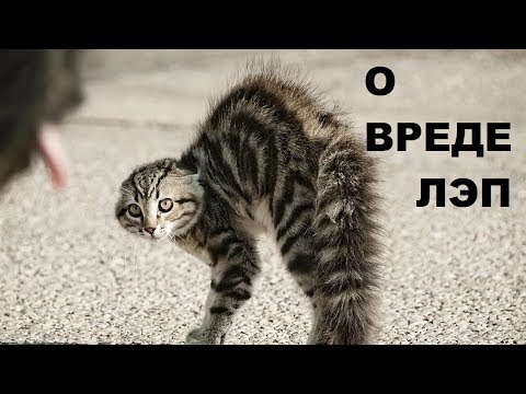 Видео: О ВРЕДЕ ЛЭП