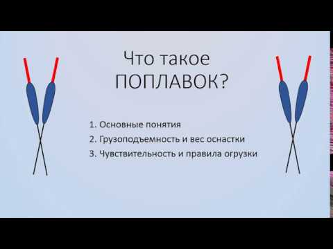 Видео: Что такое поплавок? Как огрузить? От чего зависит чувствительность?
