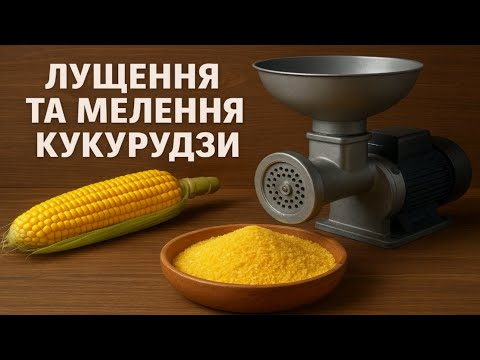 Видео: Як я роблю кукурудзяну крупу вдома! Ніхто не повірить, як просто 😳