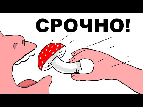 Видео: ДРУГ  ЕСТ  МУХОМОРЫ