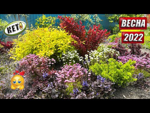 Видео: 🥹Яркая ВЕСНА в моём Саду 🌸МАЙ 2022 🌷Никто его не ЛЮБИТ так как Я 🥰#КетоЛюдНик