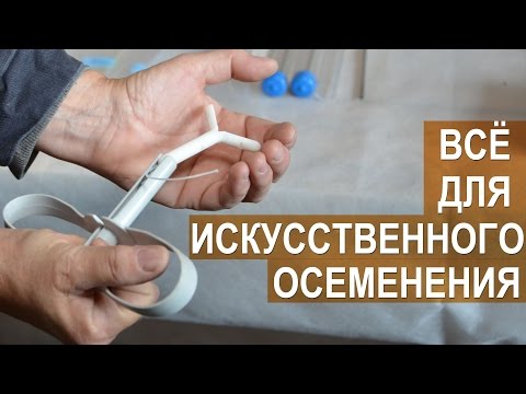 Видео: Оборудование для искусственного осеменения овец и коз. Фролова Е.И.