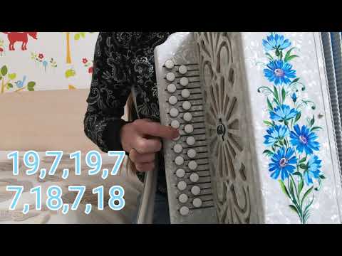 Видео: Цыганочка-разбор на гармони