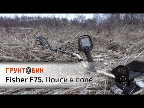 Видео: Fisher F75 | Поиск в поле