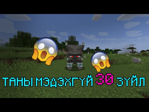 Видео: 😲 Minecraft дээр таны мэдэхгүй 30 зүйл!