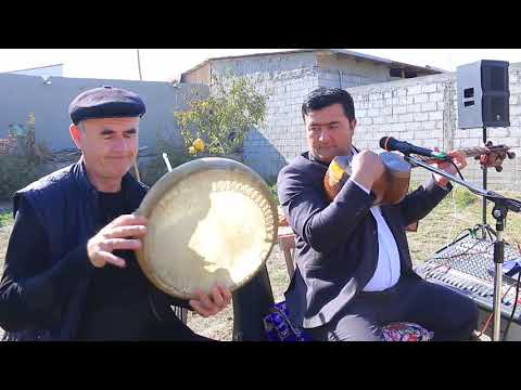 Видео: 10 ноября 2025 г.