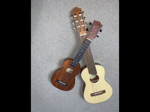 Видео: Обзор Укулеле или ГитаЛеле ?