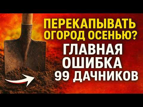 Видео: Перекапывать огород осенью? 😱 Главная ОШИБКА 99% дачников.
