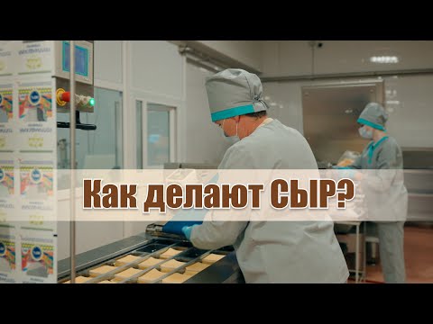 Видео: "До 280 тонн молока ЕЖЕСУТОЧНО!" // Всё о производстве сыра! | ОАО "Поставы Городок"