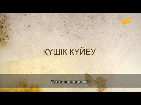 Видео: «Әр үйдің сыры басқа». Күшік күйеу