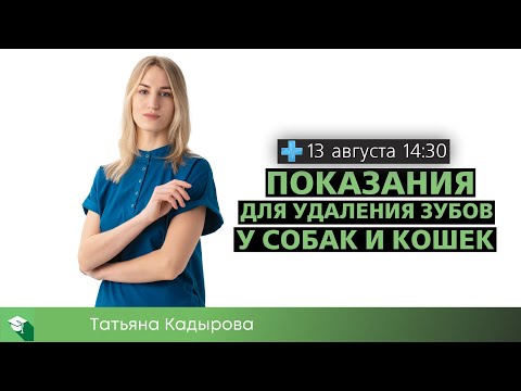 Видео: Показания для удаления зубов у собак и кошек