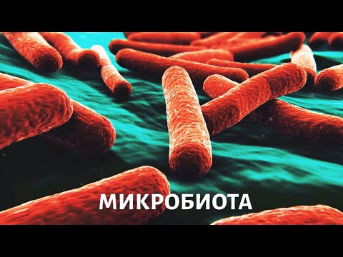 Видео: Микробиота. Медицина будущего