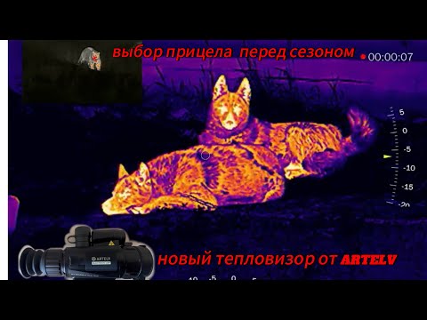 Видео: Перед  сезоном обзор тепловизионного  прицела  Artelv Electron 2,4*25 мм.  384*288