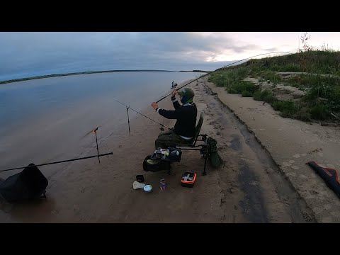 Видео: Ловля на Фидер на реке Северная Двина. Клёвый день.
