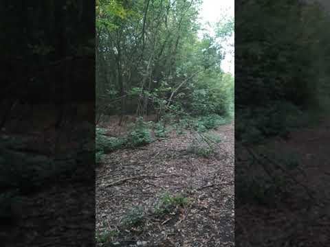 Видео: 15 сентября 2018г. Рг урал