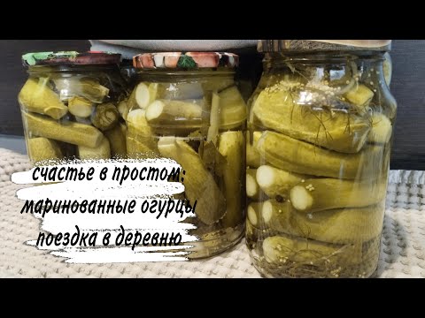 Видео: ❤️ УРА ❤️ МАРИНОВАННЫЕ ОГУРЦЫ 🥰 ДЕРЕВНЯ 😍