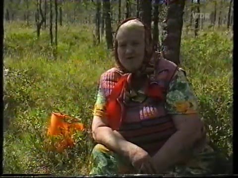 Видео: Архангельская область, Пинежский район, Таежная деревня Кобелево