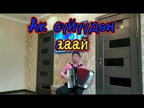 Видео: Аккордеон менен Караоке ырдоо. Сулууга. А.Керимбаев.