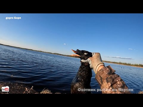 Видео: ОХОТА НА ТУРПАНА НА КОЛЫМЕ 2024