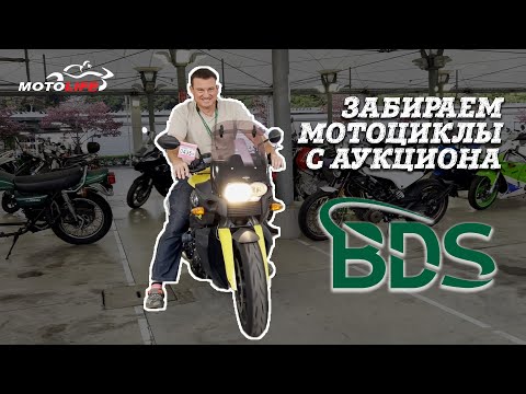 Видео: Мотоциклы с аукциона BDS | MOTOLIFE.RU