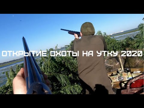 Видео: Открытие охоты 2020. Охота на лысуху.