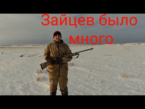 Видео: Охота на зайца."Насыщенный день" часть I.