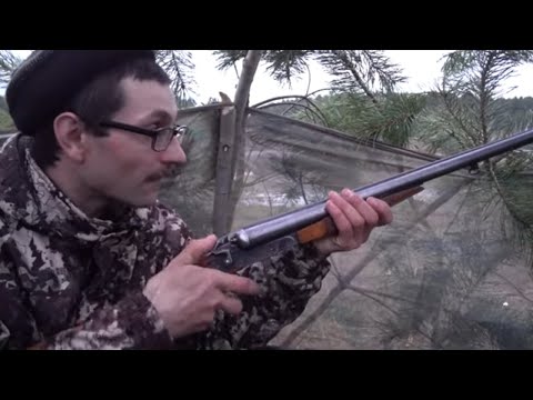 Видео: Весенняя охота с подсадной уткой #1