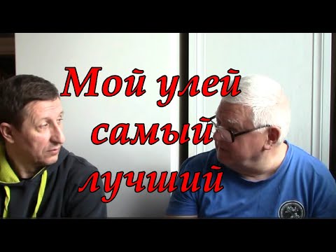 Видео: Какой же улей лучше? Дерево или ППУ? 6,8,10,ИЛИ 12 Рамок?