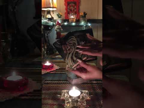 Видео: Мужчина злой как собака три дороги Путь один