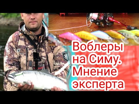 Видео: Воблеры на симу в 2023 году и других красномясых в Приморье.#smith #dcontact  #рыбалка #сима