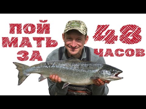 Видео: Рыбалка на сёмгу. Кольский полуостров. Кола.  Поймать за 48 часов! (Это возможно)