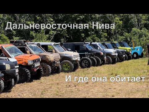 Видео: Менеджер Антон во Владивостоке. Mitinlight. DVTOYS. 