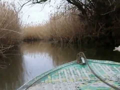 Видео: Рыбалка на Днестре 16.11.2013