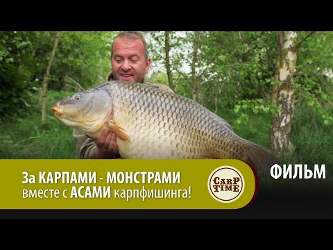 Видео: За КАРПАМИ - МОНСТРАМИ вместе с АСАМИ карпфишинга! ФИЛЬМ