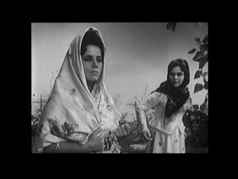 Видео: Ирина Богачева