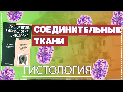 Видео: Гистология / Соединительные ткани / Волокнистые ткани / Ткани